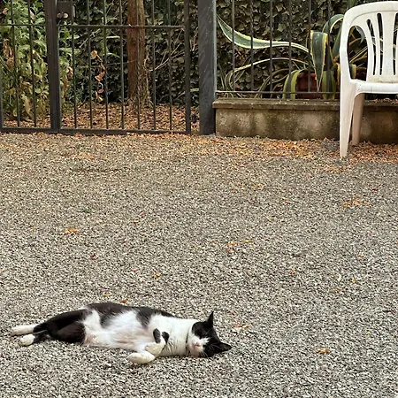 Apartmán Casa Serena - A San Gimignano